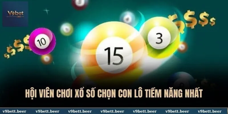 Hội viên chơi xổ số chọn con lô tiềm năng nhất